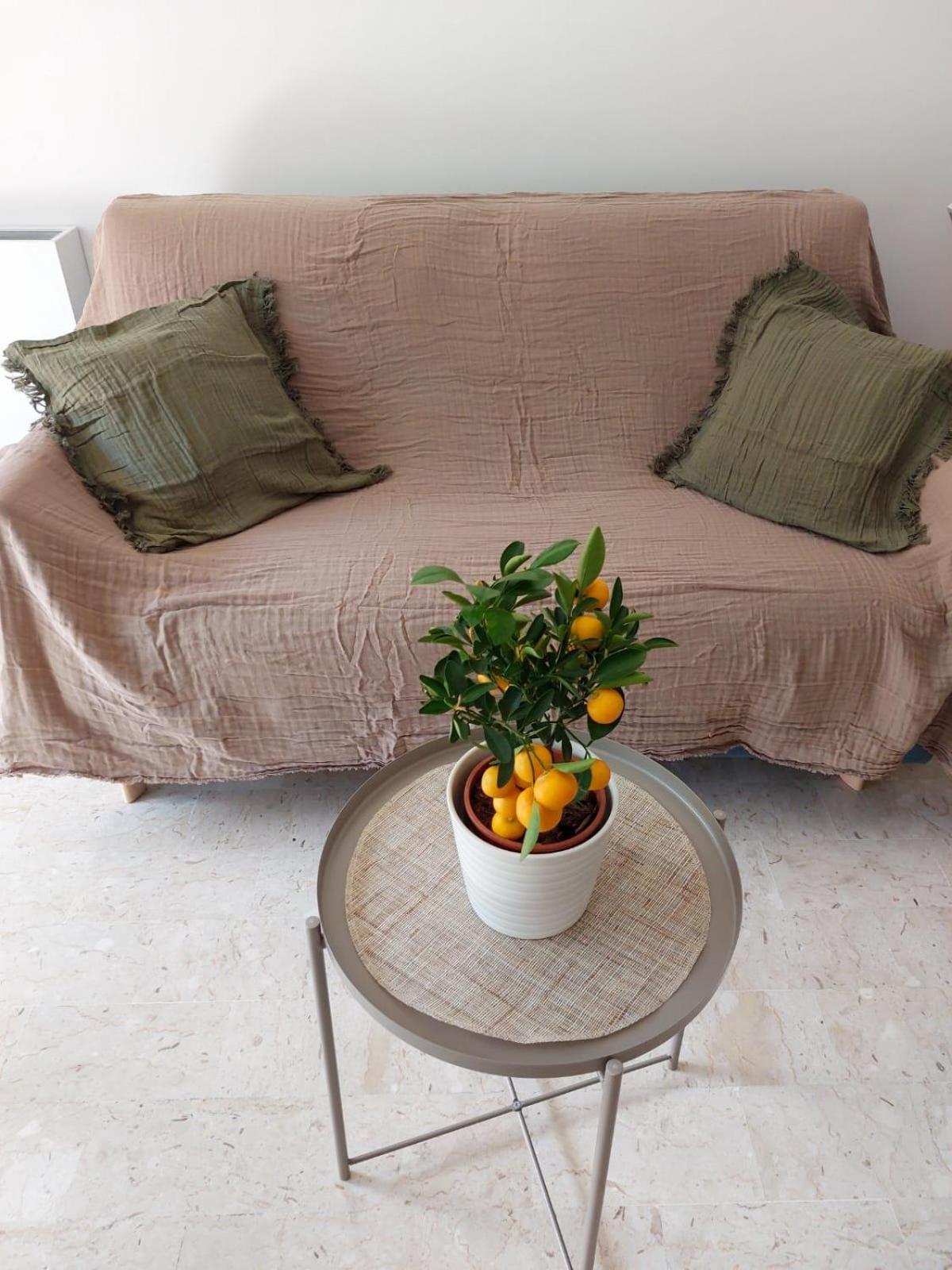 Appartement 2P Renove Avec Terrasse Au Port De Νίκαια Εξωτερικό φωτογραφία